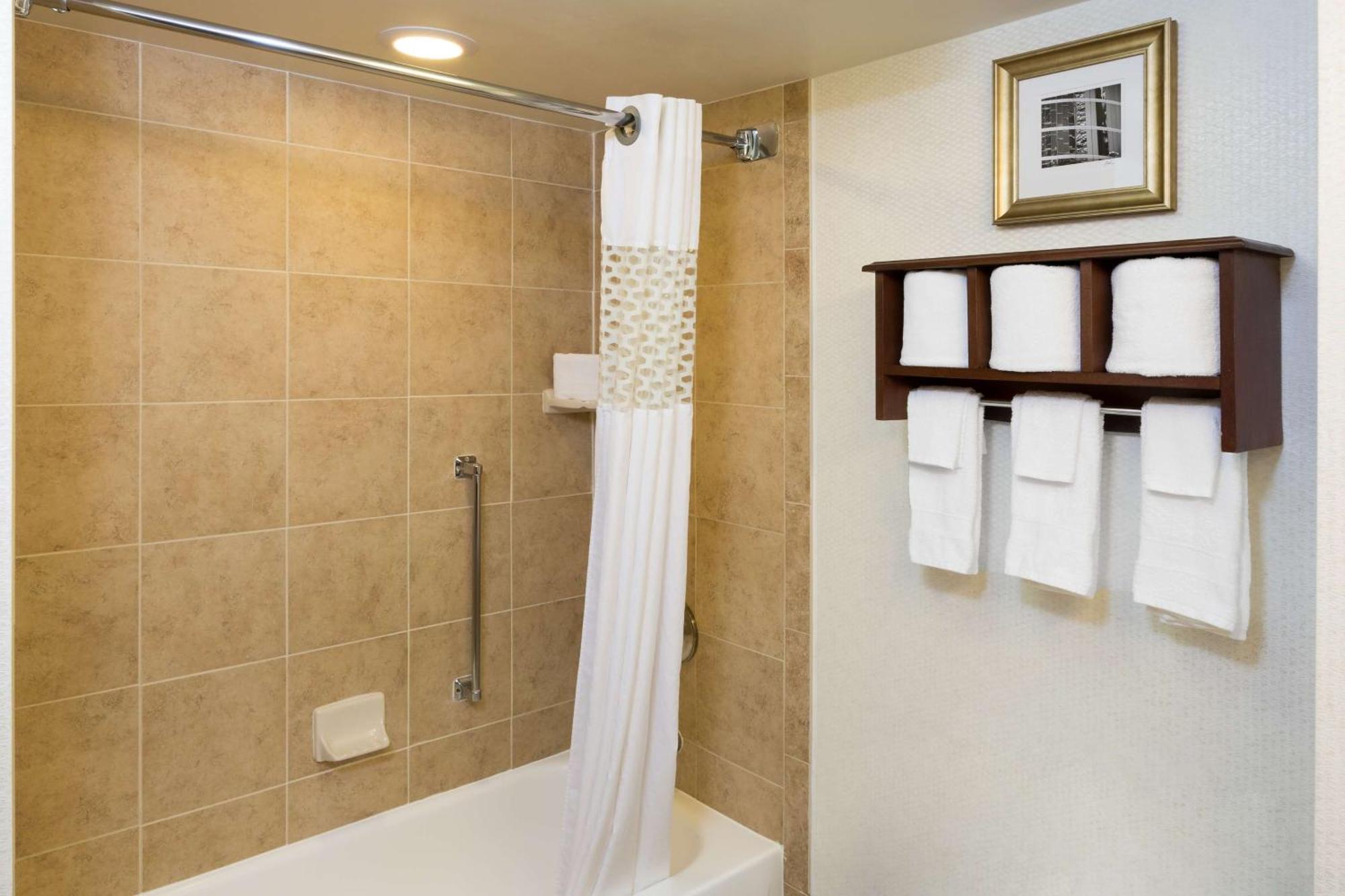 Hampton Inn Houston Near The Galleria Buitenkant foto